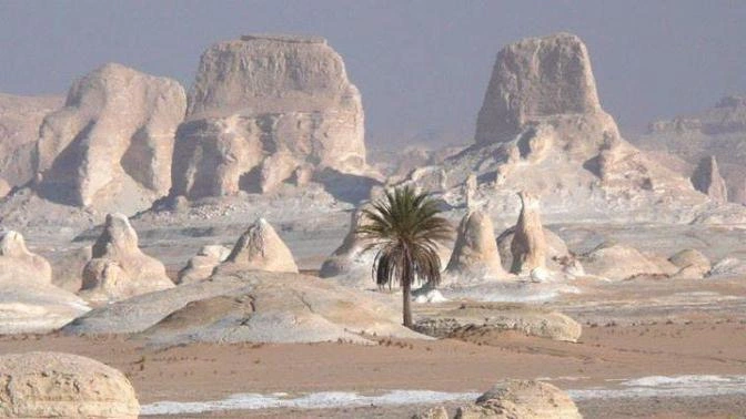 White Desert El Frafra Egypt Travel Booking